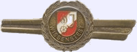 wissentest bronze